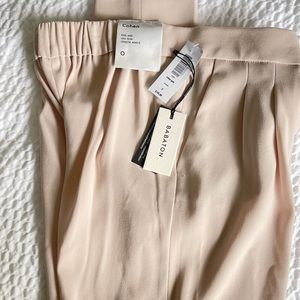 Aritzia Babaton Cohen pants